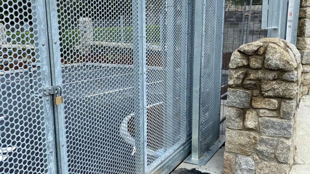TRACK SLIDING GATE WITH PERFORATED PLATE INFILL 04