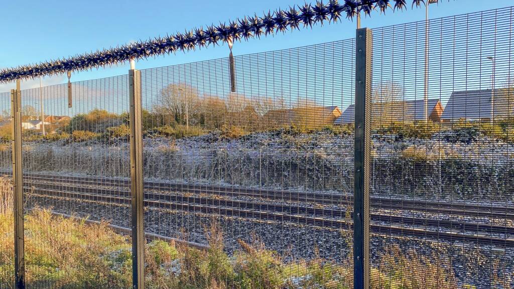 RAPTOR ON 358 MESH FENCE 02